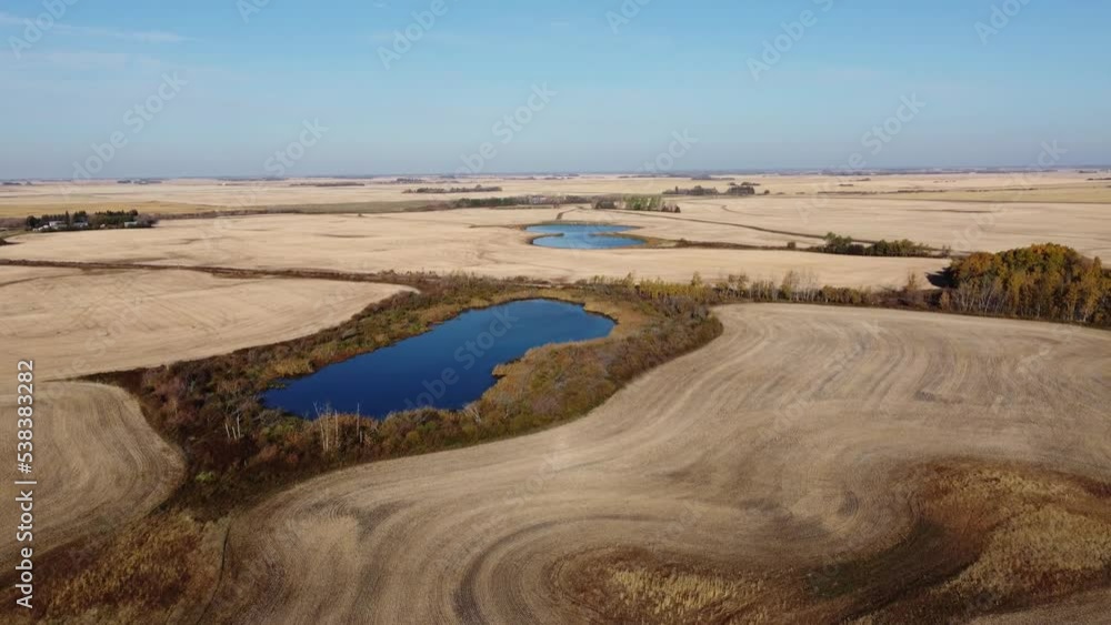 Intact wetlands in a rural area of Saskatchewan, Canada, surround by farmed fields. Late fall. Intact wetlands in a rural area of Saskatchewan, Canada, surround by farmed fields. Late fall.