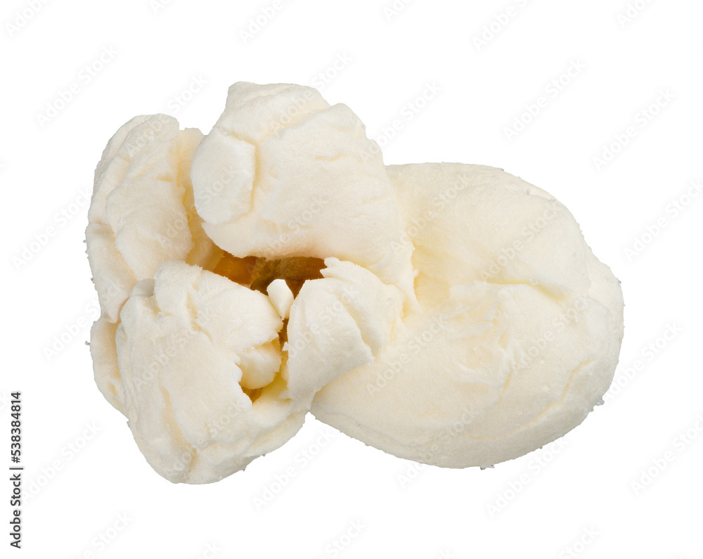 Single popcorn seed, macro shot isolated on transparent background as png clipart Single popcorn seed, macro shot isolated on transparent background as png clipart
