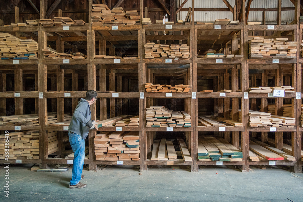 Kingston, NH, US-September 12, 2022: Man choosing lumber in local lumber yard with stacks of hardwoods and softwoods in background. Kingston, NH, US-September 12, 2022: Man choosing lumber in local lumber yard with stacks of hardwoods and softwoods in background.