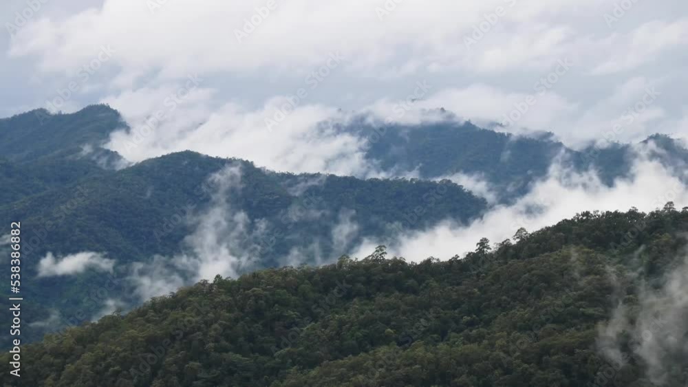 Fog in the morning forest with green mountains at Huai Kub Kab, Mae Taeng, Chiang Mai, Thailand. Timelapse Fog in the morning forest with green mountains at Huai Kub Kab, Mae Taeng, Chiang Mai, Thailand. Timelapse