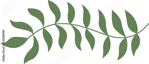 a branch of leaves clipart wedding ornament decoration