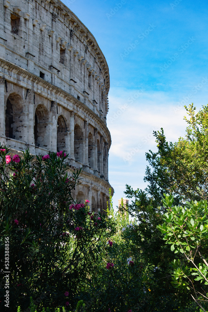 Obraz premium view of the closeum of rome in italy