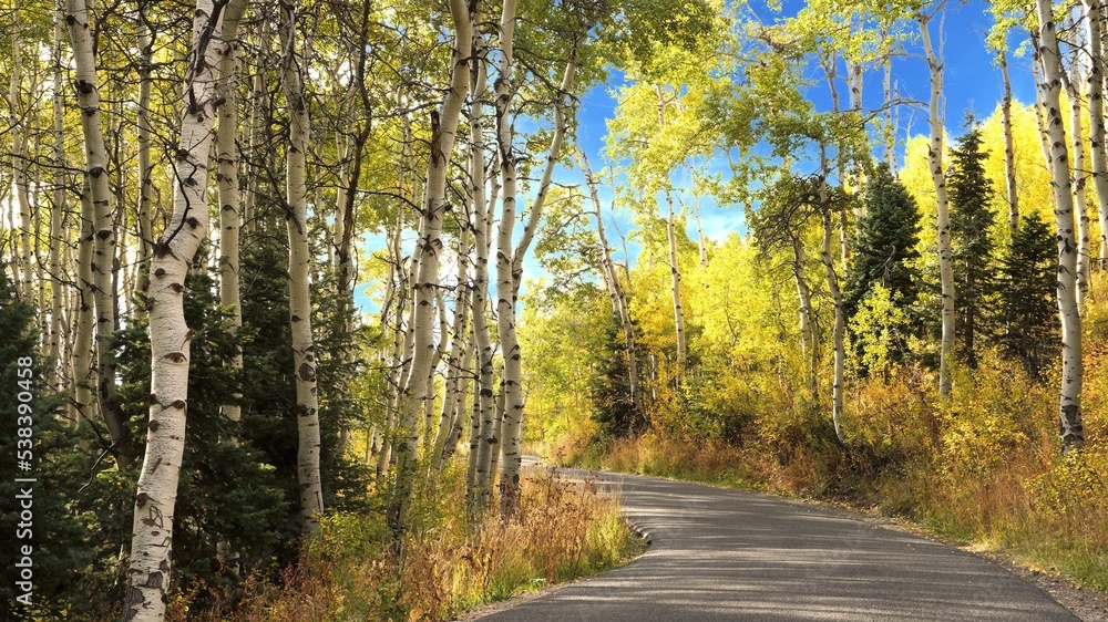 Fall colors as seen on the Timpanogos Highway and Alpine Loop in Utah in October. 