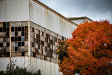 industrial abandoned building in the autumn with broken window panes and orange tree leaves in Newnan, Georgia