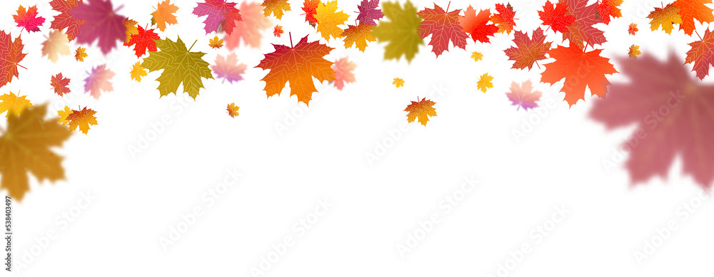 PNG. Abstract art autumn background leaves. Hand drawing