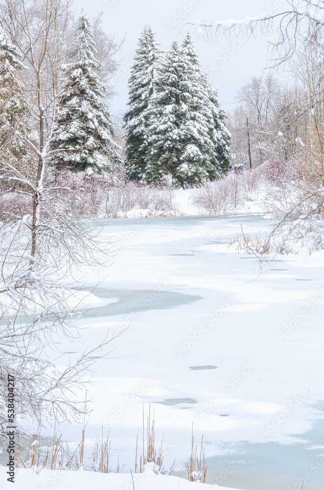 Obraz premium Winter scenics or landscape in a Toronto public park, Canada