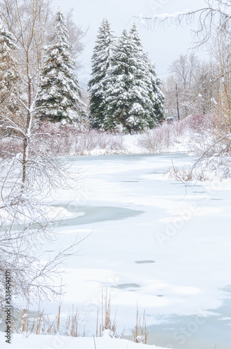 Photography Winter scenics or landscape in a Toronto public park, Canada