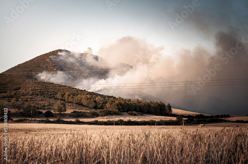 Forest fire in the municipality of Zambrana, Alava, Basque Country.
 photo
