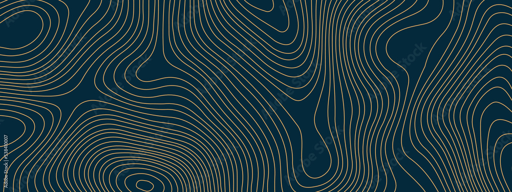 The stylized blue and orange wavy abstract topographic map contour, lines Pattern background. Topographic map and landscape terrain texture grid. Wavy banner and color geometric form. 