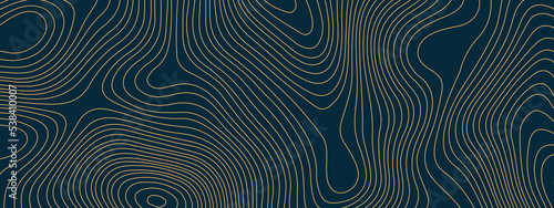 The stylized blue and orange wavy abstract topographic map contour  lines Pattern background. Topographic map and landscape terrain texture grid. Wavy banner and color geometric form. 