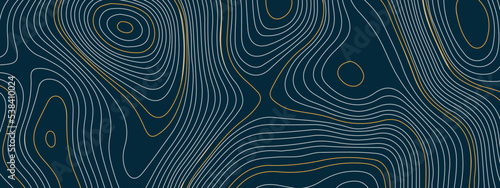 The stylized multicolored wavy abstract topographic map contour, lines Pattern background. Topographic map and landscape terrain texture grid. Wavy banner and color geometric form. Vector illustration