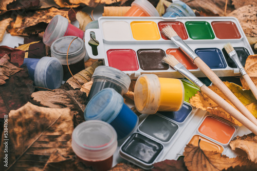Set of watercolor paints and paintbrushes for painting closeup on the background of autumn leaves.