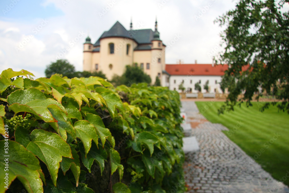 leaves on the castle wall