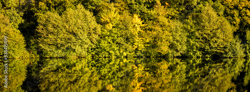 tree reflections in the lake panorama