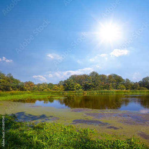 small lake among forest at sunny summer day
