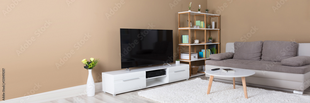 Apartment With Television And Sofa Apartment With Television And Sofa