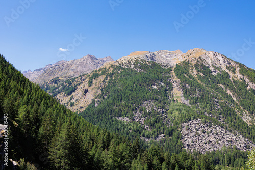 Mountain Range of the Italian Alps on a Sunny Summer Day- view of Green Vegetation and Blue Sky