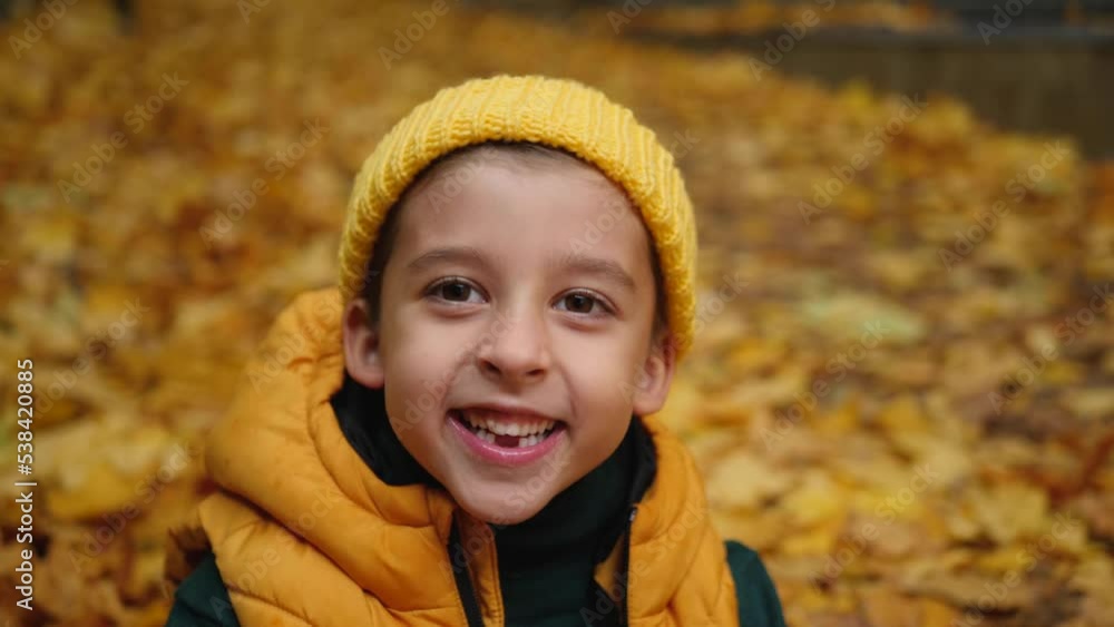 portrait of a funny boy child without 2 teeth sitting and laughter in autumn in maple leaves nature. he is wearing a yellow vest, a knitted hat and a green sweater portrait of a funny boy child without 2 teeth sitting and laughter in autumn in maple leaves nature. he is wearing a yellow vest, a knitted hat and a green sweater