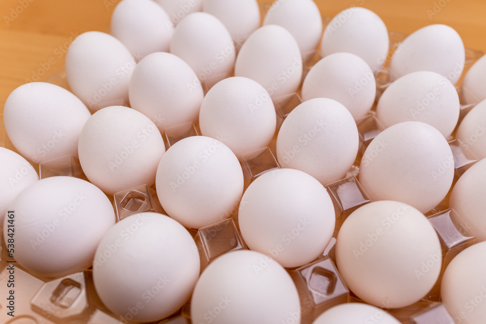 Pack of the white chicken egg Pack of the white chicken egg
