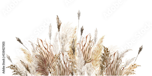 Beige pampas grass border painted with watercolor. Boho dried grass neutral colors set. Botanical nature design isolated on white. Bohemian style wedding invitation, greeting, card, postcard, 
