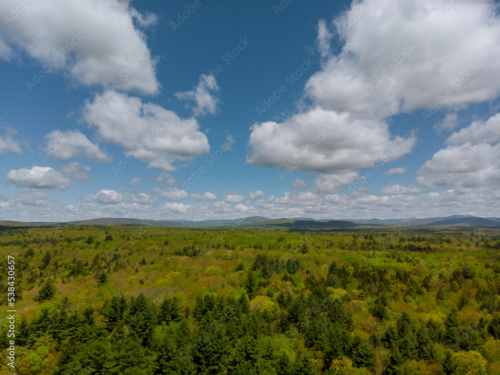 An aerial view of forest from height mountains with clouds in background An aerial view of forest from height mountains with clouds in background