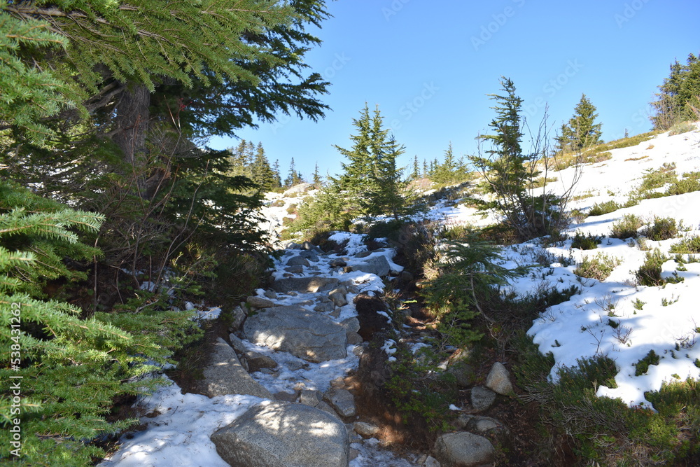 Obraz premium Nature