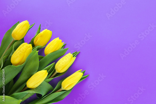 Bouquet of seven yellow tulips with green leaves in bottom left corner on violet paper background. Very peri trendy color of 2022 year. Greetings card for springtime holidays with copy space.