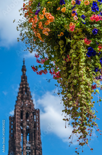 View of the Gothic cathedral in Strasbourg  France