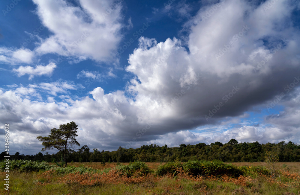 Heavy cloud above the nature area Wooldse Veen near Winterswijk
