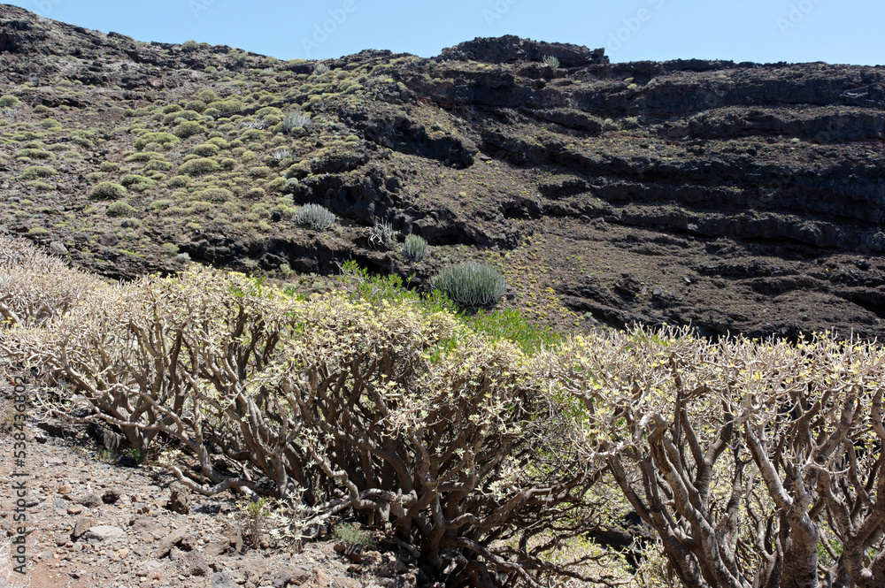 Klimawandel auf der europäisch-spanischen Insel la Palma Klimawandel auf der europäisch-spanischen Insel la Palma