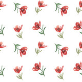 watercolor seamless pattern with meadow wild flowers, red poppy. For decoration and design. Printing on postcards, paper, packaging, fabric. Wedding, romantic, natural style. Spring.