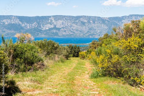 Fototapeta Naklejka Na Ścianę i Meble -  Carian Trail long-distance hiking trial passing along the Gulf of Gokova coastline in Mugla, Turkey.