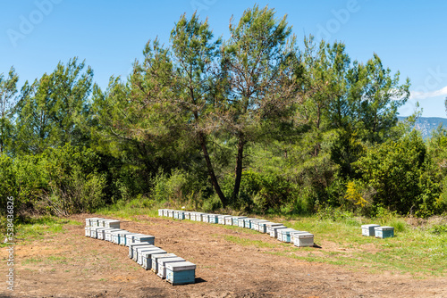 Rows of bee hives on Bozburun peninsula near Marmaris resort town in Turkey