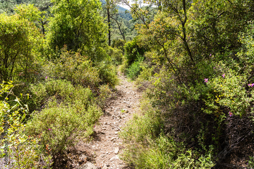Carian long-distance trail winding through the bushes in Mugla province of Turkey