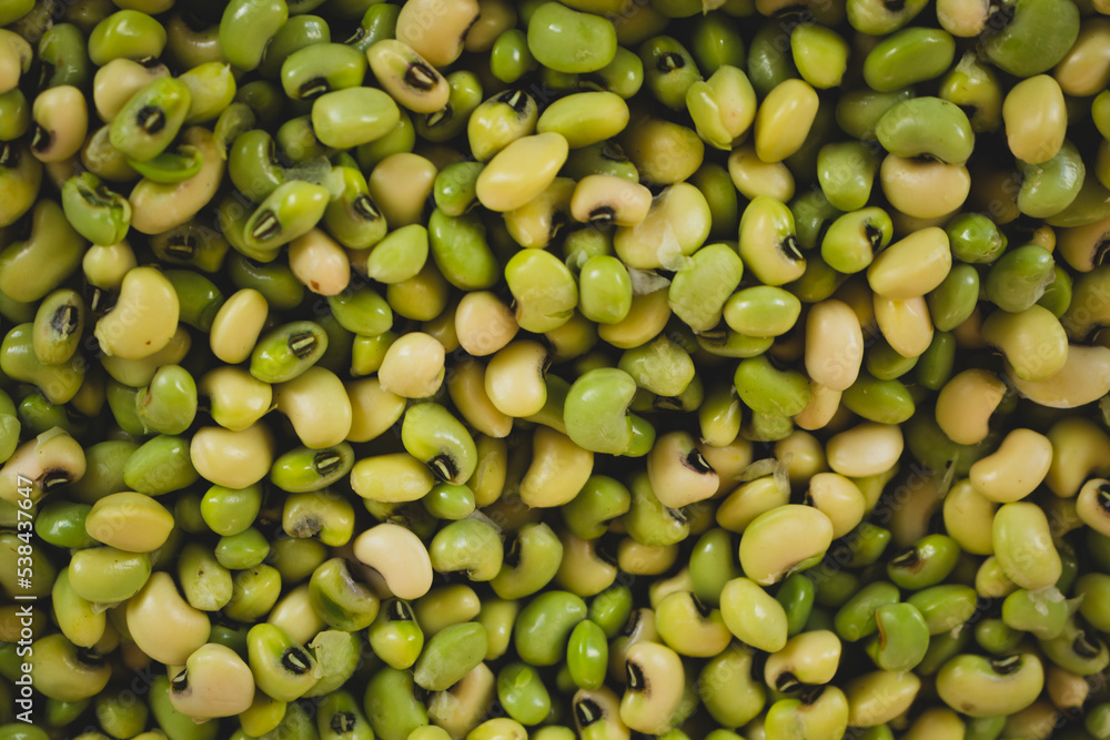Green beans in the market. Typical Brazilian food. Green beans in the market. Typical Brazilian food.