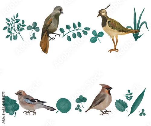Digital border with birds and leaves. Transparent layer. 