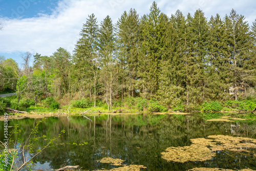 A pond in Walpack on the New Jersey side of Delaware Water Gap National Recreation Area in USA.