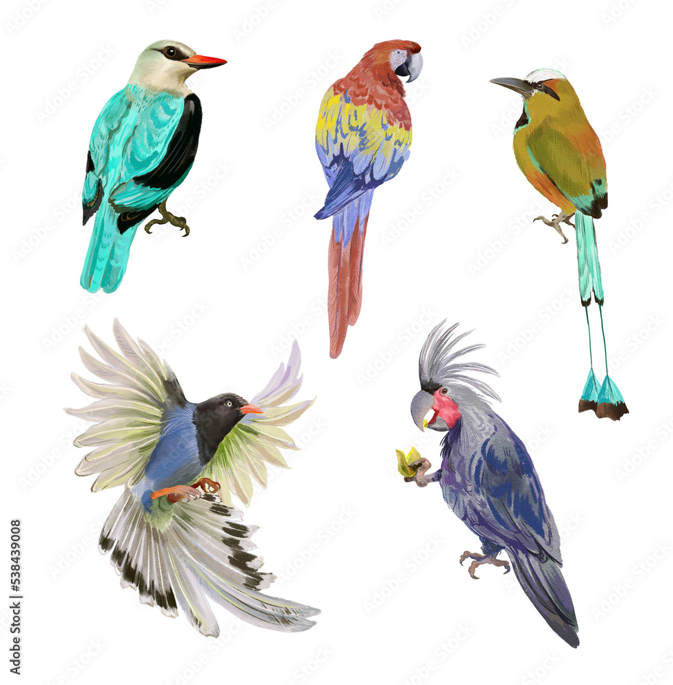Digital set with colorful tropical birds. Transparent layer.