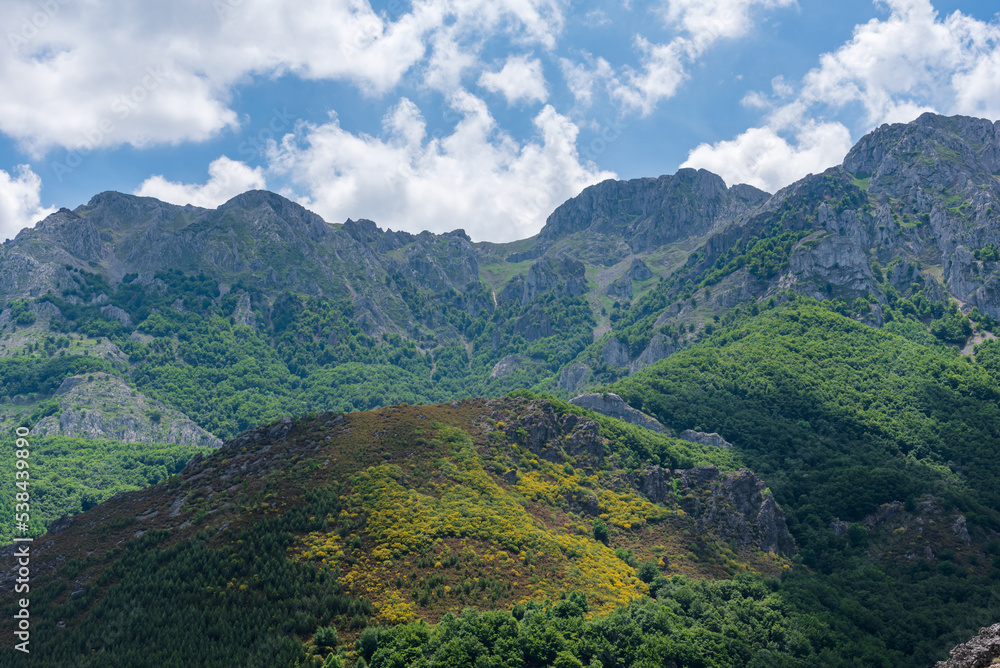 Landscape of mountains with high peaks located between Leon and Asturias, with huge forests at their feet.