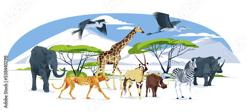 Wild African animals set walks on the savannah landscape: elephant, giraffe, cheetah, Oryx antelope, zebra, ostrich, hippopotamus, hyena, warthog, heron. Vector flat illustration.