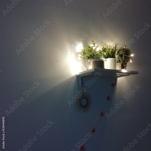 little shelf with green home plants with lights