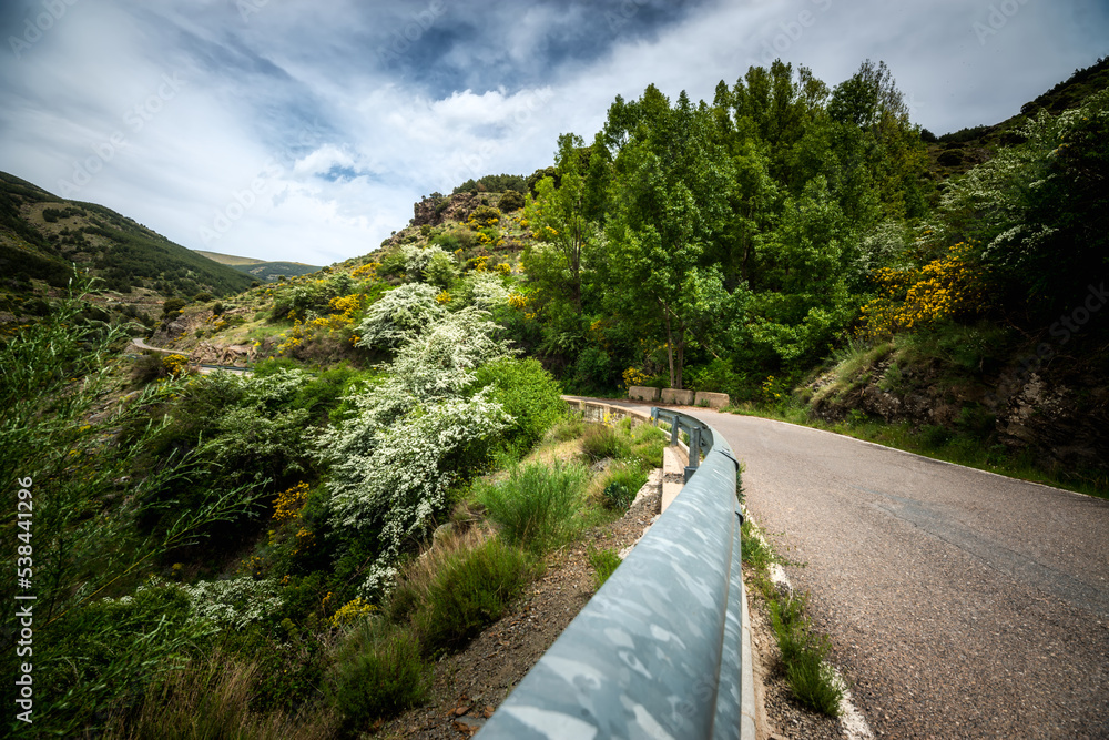 Motorcycle trip on a winding road surrounded by trees. Motorcycle trip on a winding road surrounded by trees.