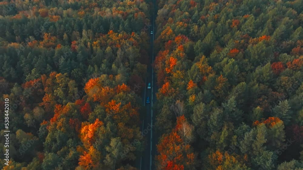 Aerial view of a beautiful golden autumn forest. Drone flight over the red-yellow forest and over the road. The concept of a beautiful golden autumn seen from a bird's eye view. Aerial view of a beautiful golden autumn forest. Drone flight over the red-yellow forest and over the road. The concept of a beautiful golden autumn seen from a bird's eye view.