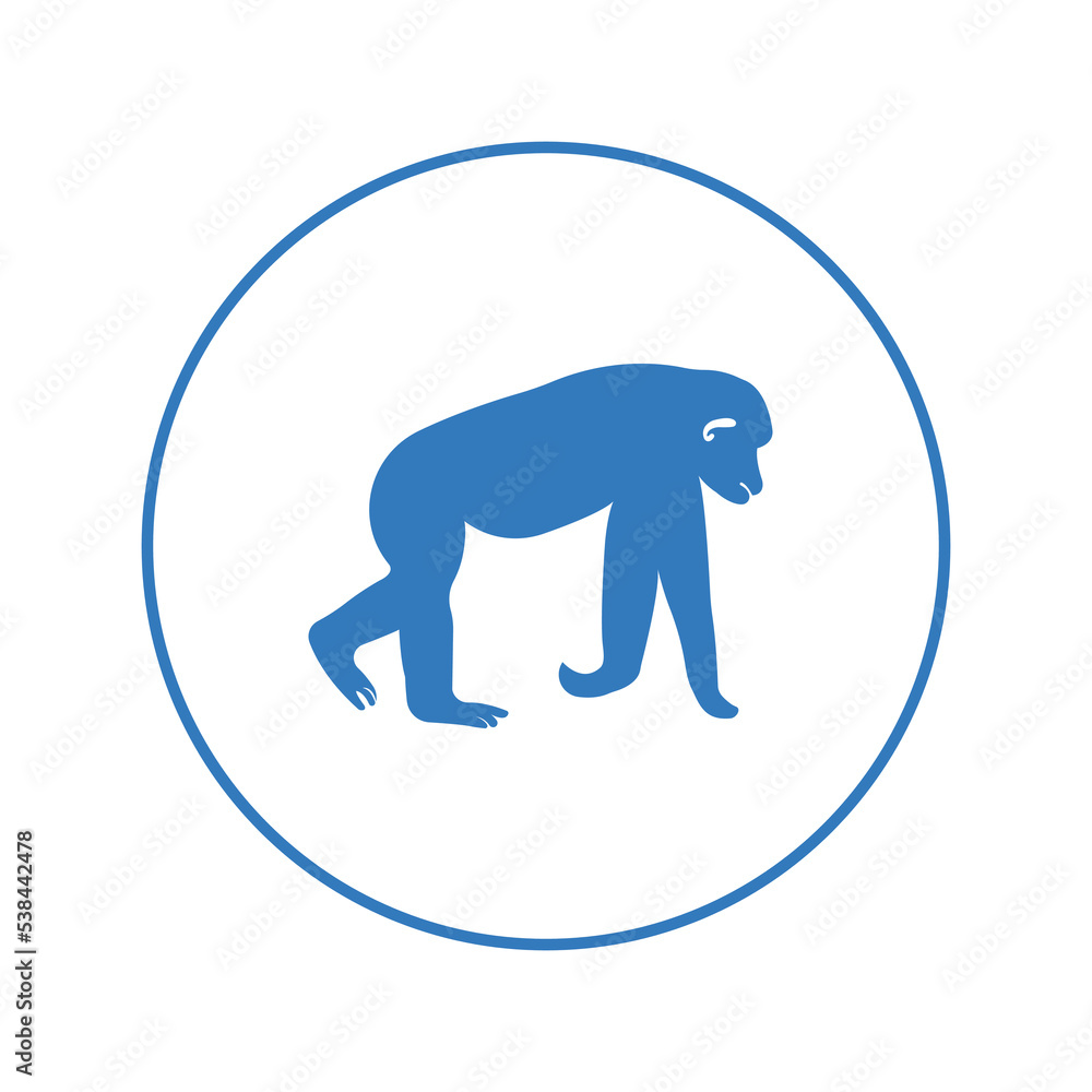 Wild animal vervet monkey icon | Circle version icon | Wild animal vervet monkey icon | Circle version icon |