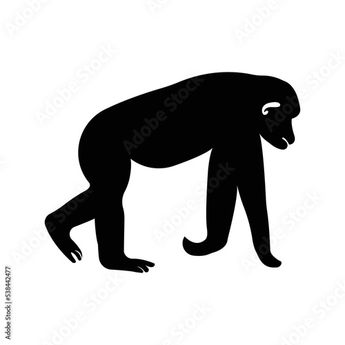 Wild animal vervet monkey icon   Black Vector illustration  
