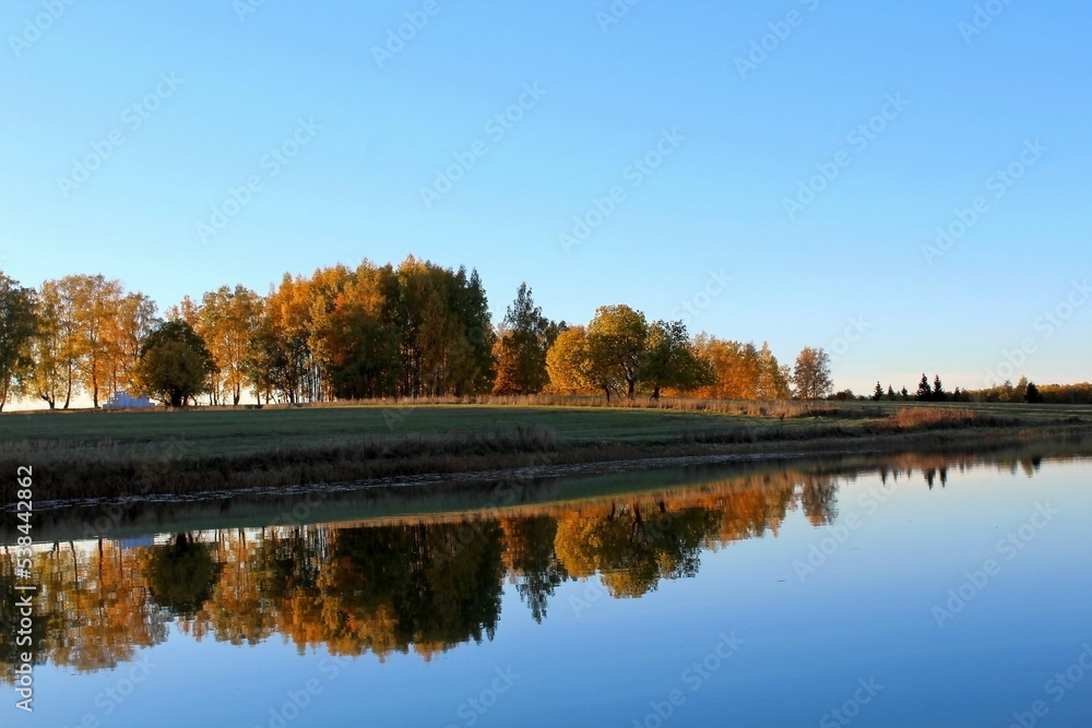 Fototapeta premium autumn trees reflected in water