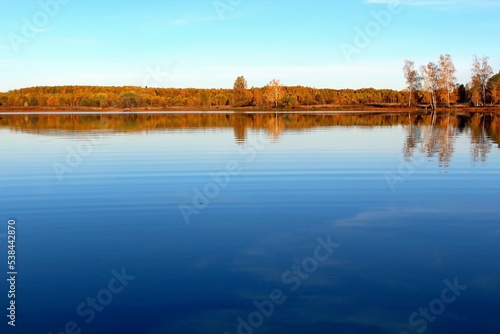 Trees, shrubs and coastal vegetation on the shore of a picturesque lake in multi-colored autumn colors. Unique image of wildlife