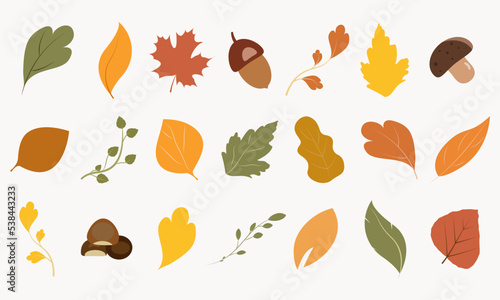  Colorful autumn leaves,mushroom,acorn,chestnut isolated on light background.Set of fall decoration.Vector design.