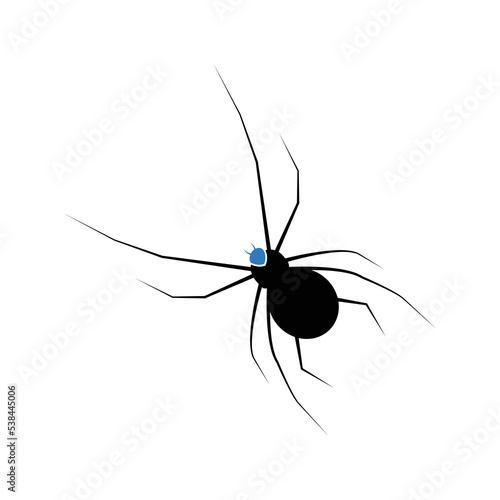 Arachnid widow bug spider icon | Black Vector illustration |