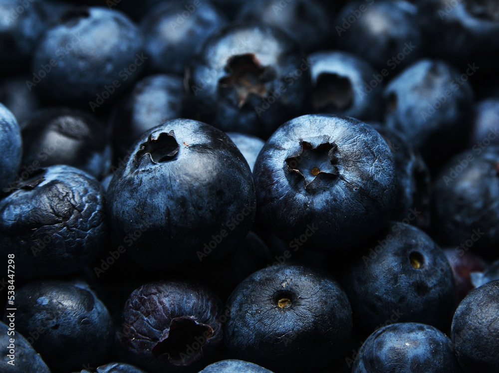 blueberries close up blueberries close up